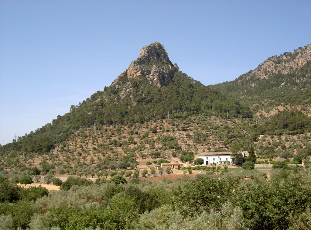 Original image