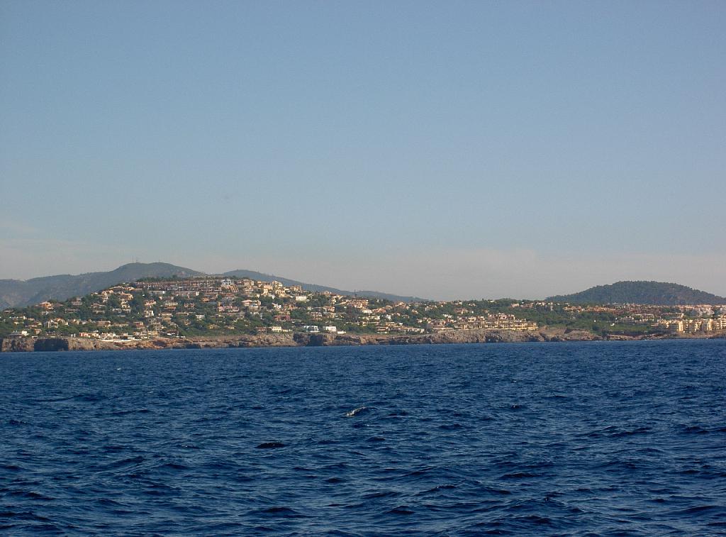 Original image