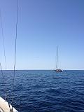 IMG_0843