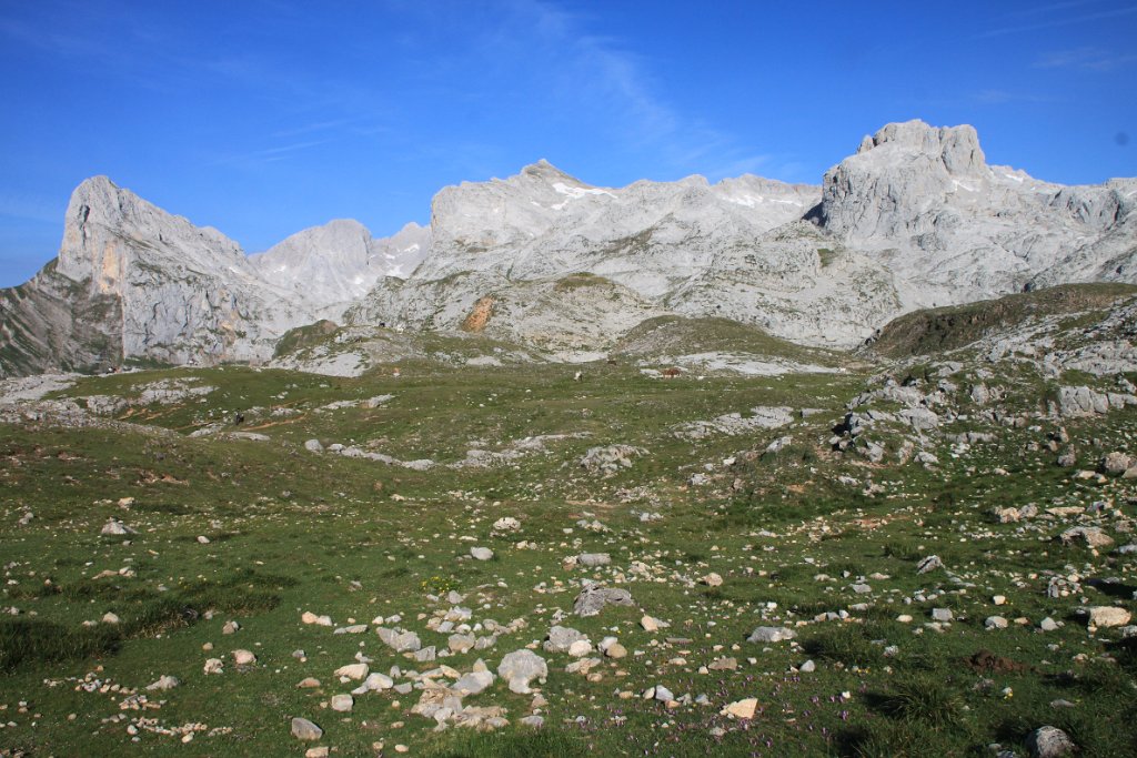 Original image