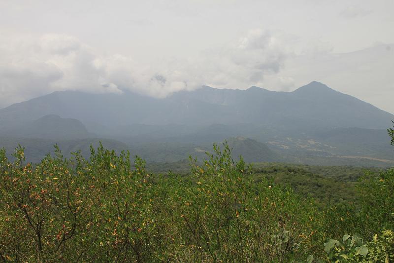 Original image