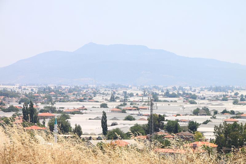 Original image