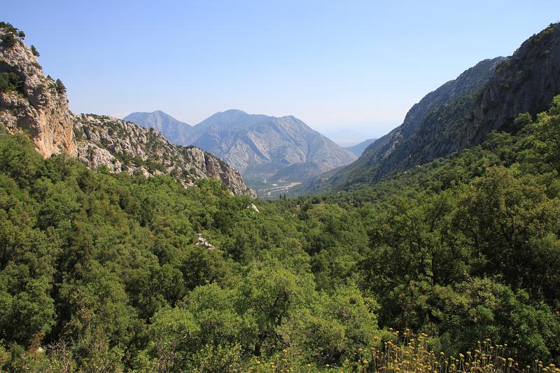 Original image