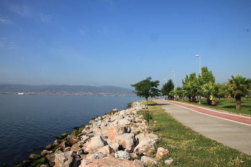 Original image