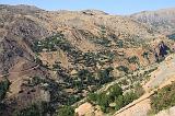 IMG_1464