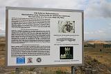 IMG_1569