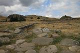 IMG_1571