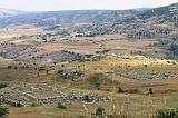 IMG_1590