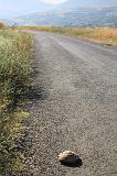 IMG_1676
