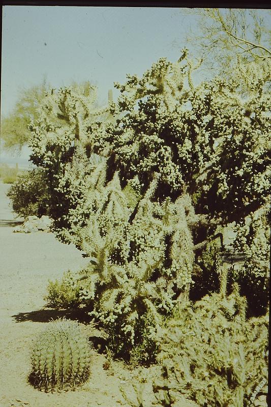 PICT0015