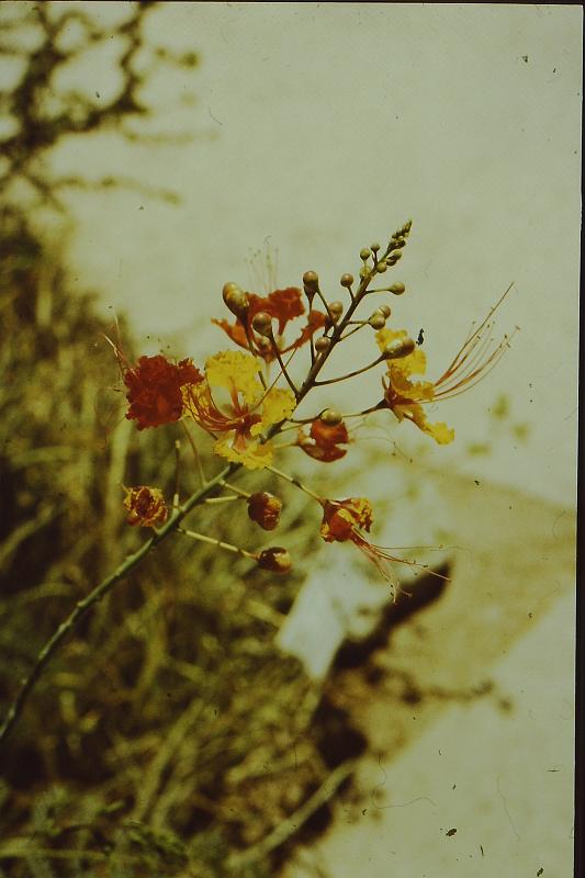 PICT0017