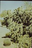 PICT0015